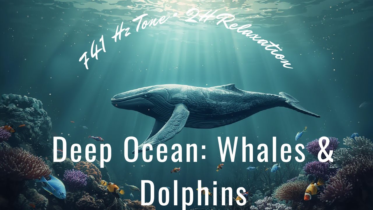 Whale & Dolphin Songs at 741 Hz • 2 Hours / Cantos de Ballenas y Delfines