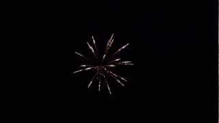 4CP106 - 4'' Crackling Willow - Crown Pyrotechnics