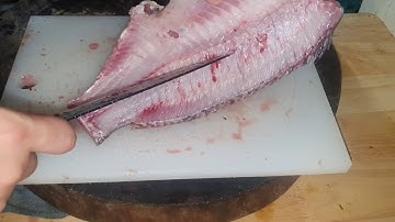 File cá rôi phi.cách phi lê cá