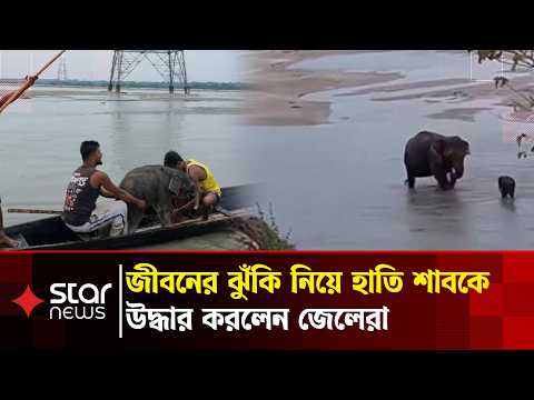 তীব্র স্রোতে ভেসে যাচ্ছিল হাতি শাবক, উদ্ধার করলেন জেলেরা | Star News
