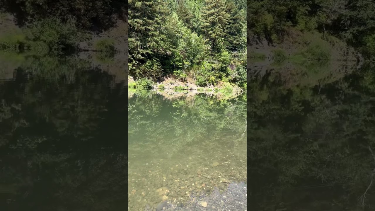 Get your slice of the Russian River. 707-217-1786 