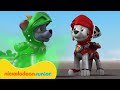 PAW Patrol | La Pat