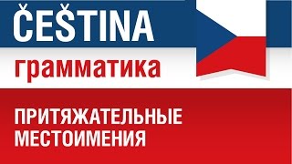 Притяжательные местоимения в чешском языке. Курс грамматики. Елена Шипилова Притяжательные местоимения в чешском языке. Курс грамматики. Елена Шипилова