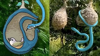 15 Things Birds Built That Look Impossible!