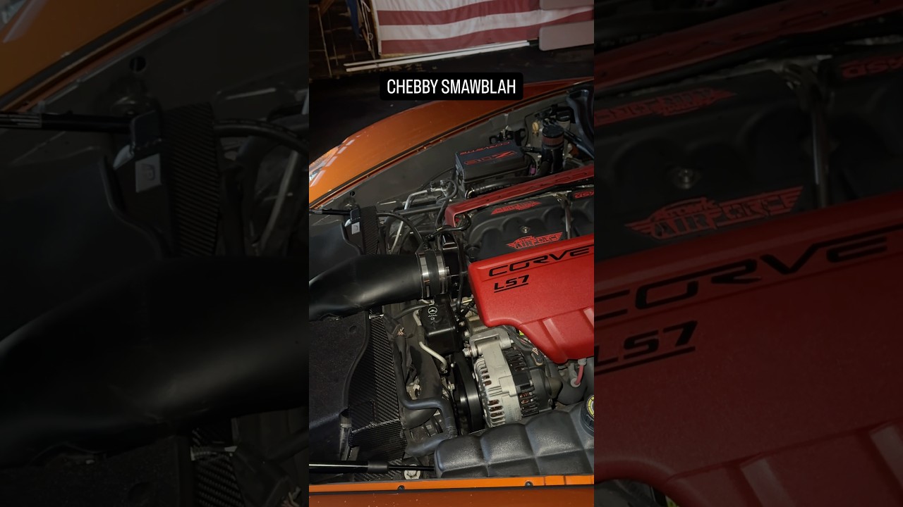 SHEBY SMAWBLOK BETTER DEN FORD 