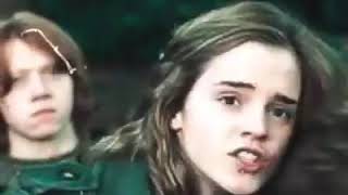 falling in love with hermione granger 1