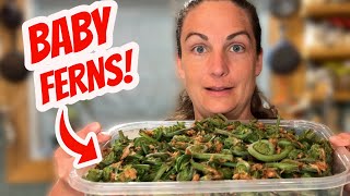 This Is How We Freeze Fiddleheads For Long Term Storage by Wilderstead 2,713 views 11 months ago 8 minutes, 14 seconds