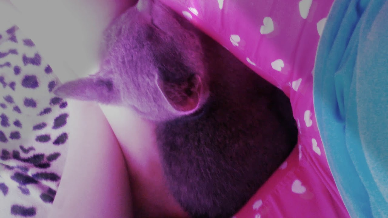 Я спал спал и проснулся и подписался. - YouTube