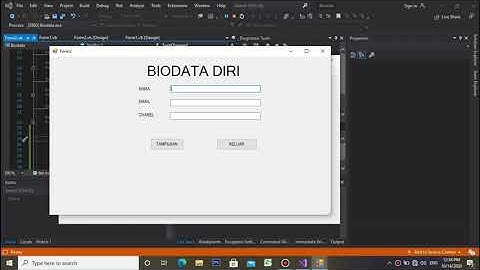 Pemrograman Visual Basik Membuat Biodata