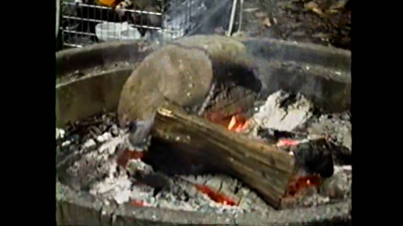 Camping at Gold Bar Nature Trails YouTube