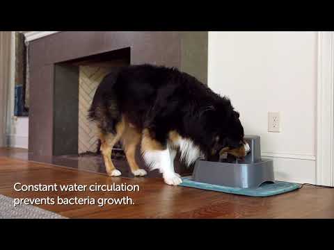 Ensure Pets Stay Hydrated with the New PetSafe® Drinkwell® 2 Gallon Pet Fountain