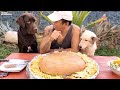 DOGS REACT TO GIANT BURGER!!!