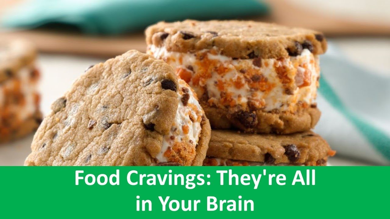 Learn English With VOA News Food Cravings They re All In Your Brain Learn english with voa news food cravings they re all in your brain