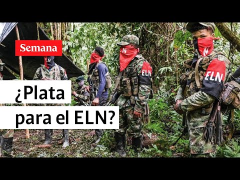 Duras críticas por creación de fondo económico para proceso de paz con ELN | Semana Noticias