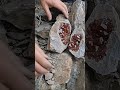 Finding a GIANT Red Diamond?! 💎😱 | #shorts #asmr #gold