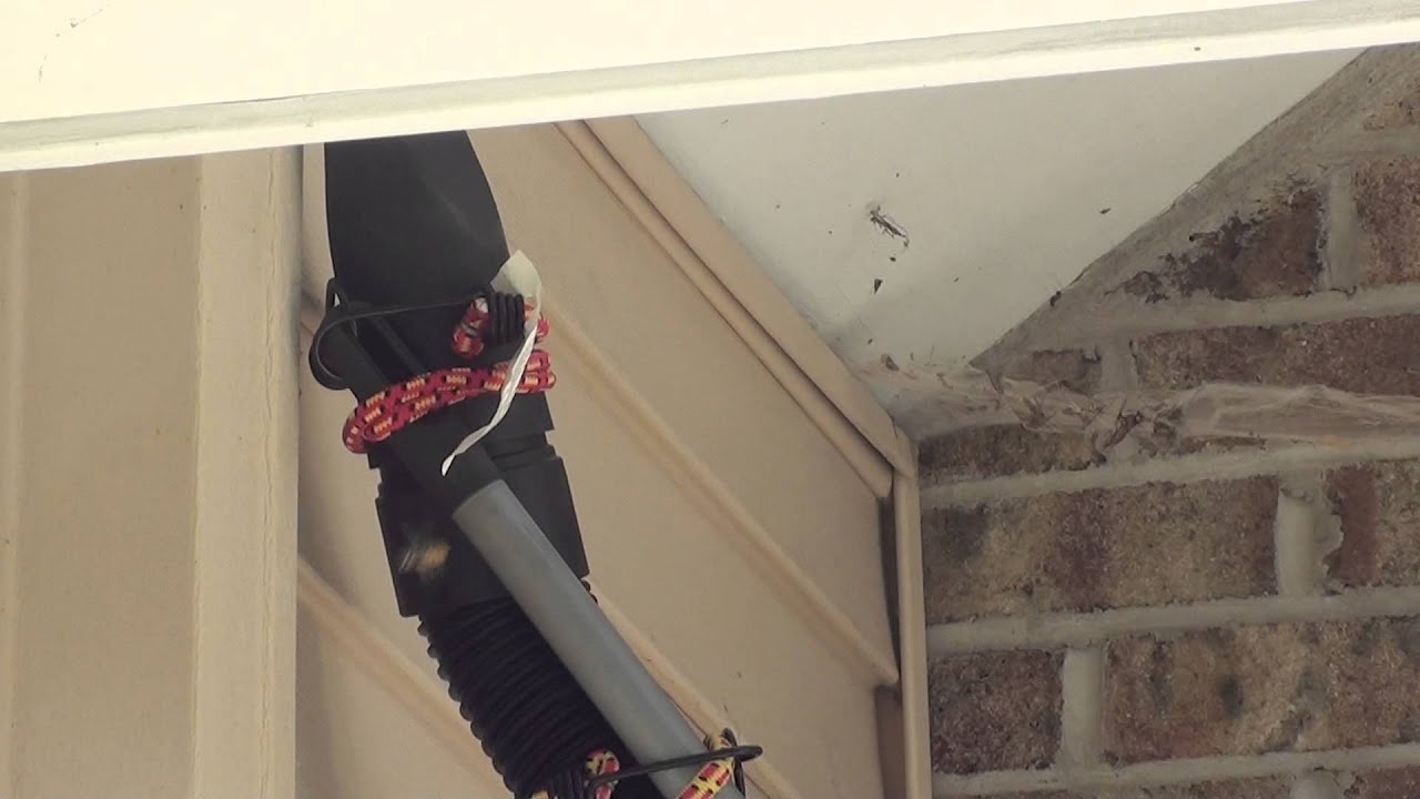How to Remove Yellow Jackets / Wasps with a Shop Vac Part III - YouTube