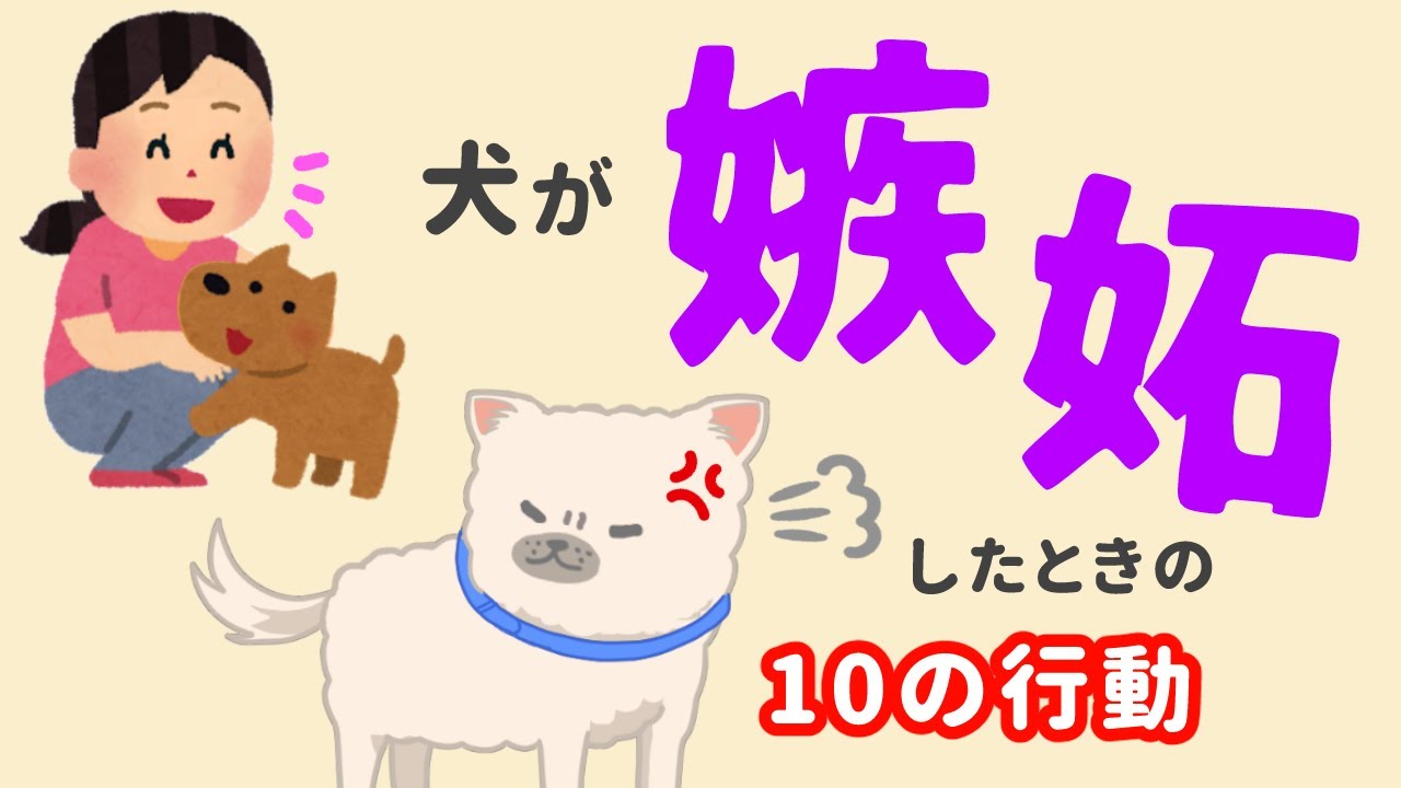 犬も嫉妬する 犬が嫉妬したときの10の行動と対処法 Youtube