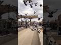 heart touching naat ❤️💕#islamicshorts #islam #viral #shortvideo