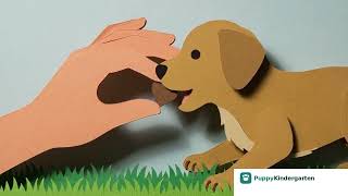 Puppy Potty Training: The Complete Guide (From Day 1 to Accident-Free)