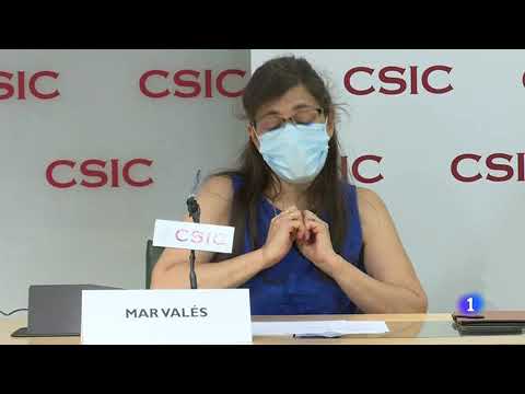 covid-19-:-test-de-anticuerpos-del-covid-19-con-un-98-%-de-fiabilidad-el-csic-desarrolla-uno