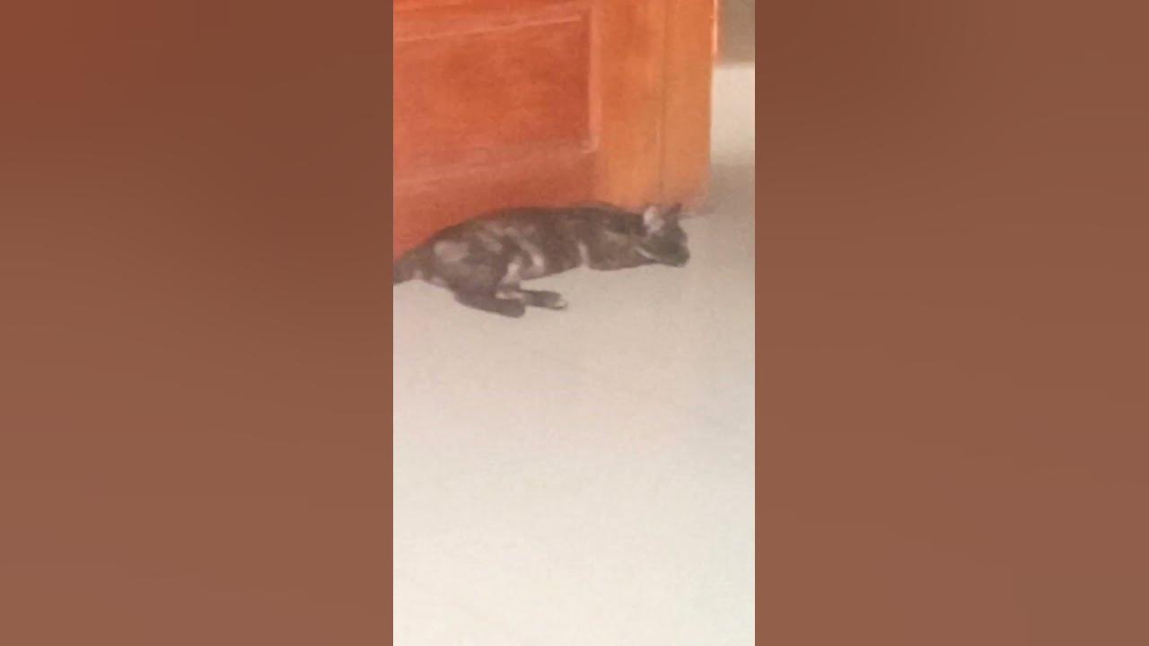 she-is-sleeping-youtube