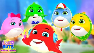 Five Naughty Sharks Song for Kids by Loco Nuts Nursery Rhymes