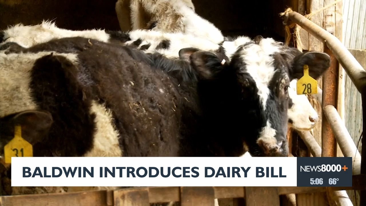 Baldwin Introduces Dairy Bill
