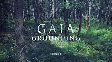 Grounding to Mother Gaia 🌍 Shaman Drum Journey, Gong & Nature ROOT Chakra Meditation Music