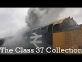 The Class 37 Collection