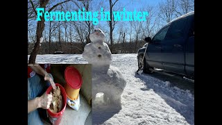 Fermenting feed in winter by Ozarks Homestead and Farm 596 views 1 year ago 5 minutes, 47 seconds