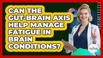Can The Gut-brain Axis Help Manage Fatigue In Brain Conditions? - Brain Health Support Network