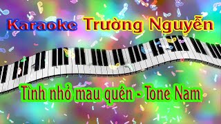 Karaoke Tình nhỏ mau quên Tone Nam (Dm)