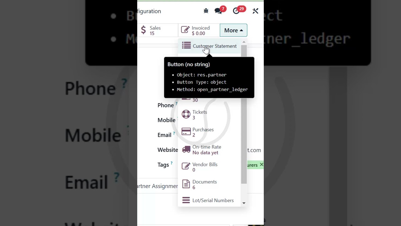 Customer Statement in Odoo Ver 18.0 