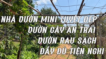 Định cư nơi khác Chú Sáu bán nhà vườn mini 1.000m2 trái cây sum sê vườn rau xanh mướt
