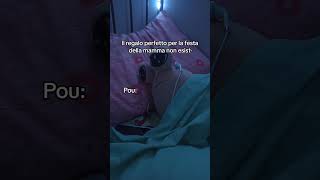 Al 50 Ancora Per Poco Link Nella Bio   shorts