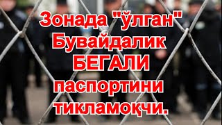 Негатив 137: Бегалини "зонада" нима учун ўлдирмоқчи бўлишган?