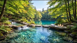 Vibrant Green Woods & Calming Solo Piano 💧 Stop Overthinking, Inner Peace