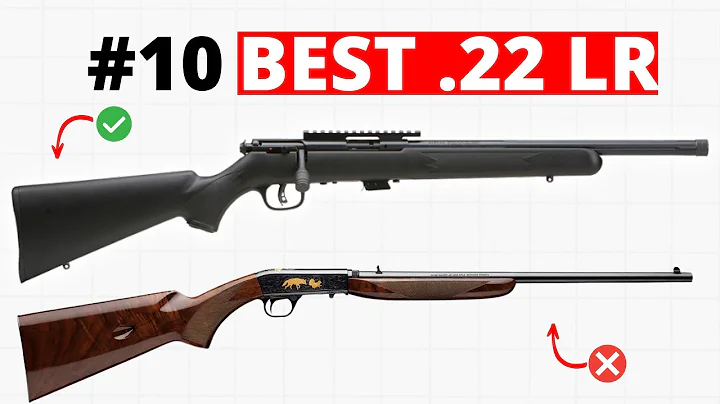 The Top 10 BEST .22 LR Rifles In 2025!