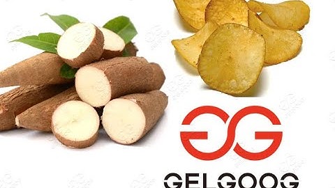 GELGOOG® Video Of Cassava Chips Making Machine Plant