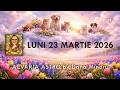 Karma Are Multe Monede LUNI 23 MARTIE 2026 HOROSCOPUL ZILEI Astrolog Acvaria Karma Are Multe Monede LUNI 23 MARTIE 2026 HOROSCOPUL ZILEI Astrolog Acvaria