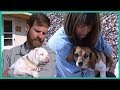 Visit A Disabled Animal Rescue Center In Montana