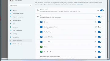 Fix Camera not working in Zoom on Windows 11/10