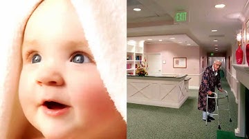 Grow your Moving Business with MovePoint Moving Software