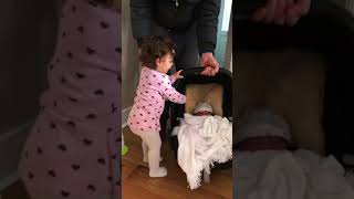 Meeting baby sister for the first time