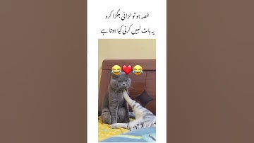 Funny deep lines 🤣 Urdu Deep lines | very funny Whatsapp status | #deeplines #viral
