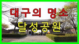 대구의 명소 달성공원