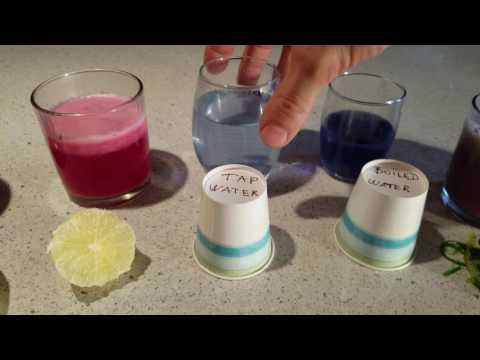 Red cabbage Ph testing fruits and vegetables