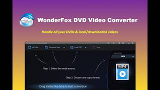 WonderFox DVD Video Converter Review and Demo | All-in-One Video Toolkit screenshot 5
