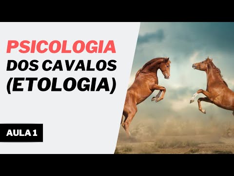 Vídeo: Informações Preliminares Sobre As Percepções E Atitudes Dos Proprietários De Cavalos Sobre Doenças Exóticas No Reino Unido