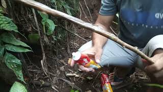 Download Lagu Pikat burung tengkek udang pake lem tikus auto nempel paten MP3 Download Lagu Pikat burung tengkek udang pake lem tikus auto nempel paten MP3